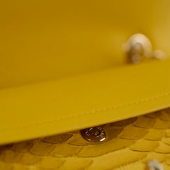 Chanel Python Medium M/L Classic Flap Yellow Series 22
