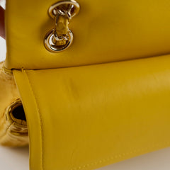 Chanel Python Medium M/L Classic Flap Yellow Series 22