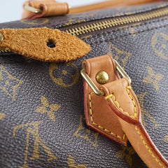 Louis Vuitton Speedy 30 Monogram