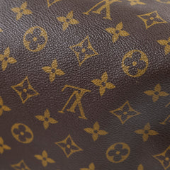 Louis Vuitton Speedy 30 Monogram