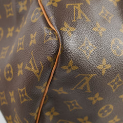 Louis Vuitton Speedy 30 Monogram