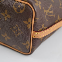 Louis Vuitton Nano Neo Noe Monogram