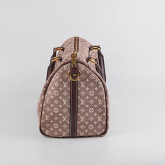 Louis Vuitton Speedy 30 Linen Monogram