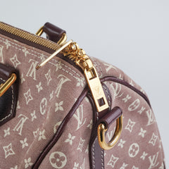 Louis Vuitton Speedy 30 Linen Monogram