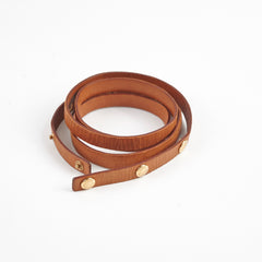 Louis Vuitton Belt Bag Monogram