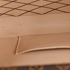 Louis Vuitton Petite Malle Monogram