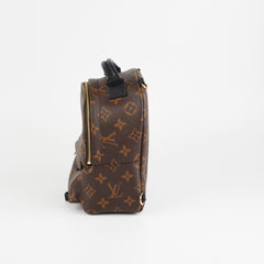 Louis Vuitton Palm Springs Mini Monogram