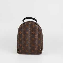 Louis Vuitton Palm Springs Mini Monogram