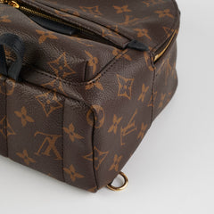 Louis Vuitton Palm Springs Mini Monogram