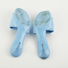 Louis Vuitton Revival Baby Blue Mules Size 41