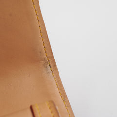 Louis Vuitton Multicolour Wallet