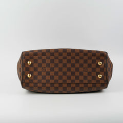 Louis Vuitton Trevi PM Damier Ebene