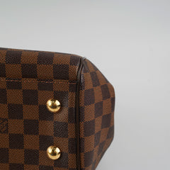 Louis Vuitton Trevi PM Damier Ebene