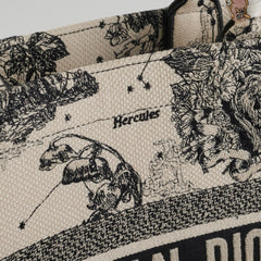 Dior Medium Book Tote Latte