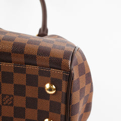 Louis Vuitton Trevi PM Damier Ebene