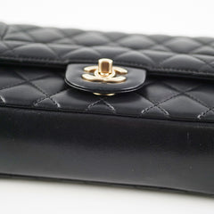 Chanel Mademoiselle Chic Flap Bag