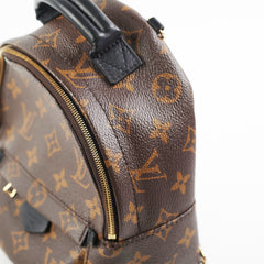 Louis Vuitton Palm Spring Mini Monogram Backpack New Style Zipper