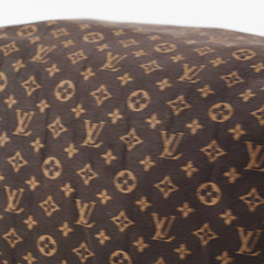 Louis Vuitton Speedy 25 Denim Monogram