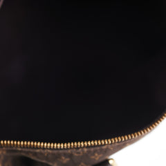 Louis Vuitton Speedy 25 Denim Monogram