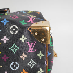 Louis Vuitton Multicolour Speedy 30