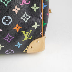 Louis Vuitton Multicolour Speedy 30