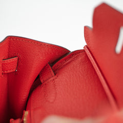 Hermes Birkin 25 Togo Rogue De Coeur - D Stamp
