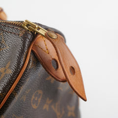 Louis Vuitton Speedy 30 Monogram
