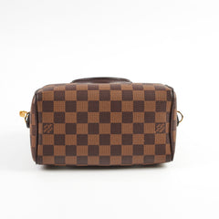 Louis Vuitton Speedy 20 Damier Ebene Canvas 2024 Microchip