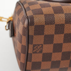 Louis Vuitton Speedy 20 Damier Ebene Canvas 2024 Microchip