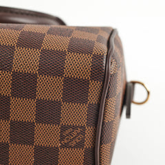 Louis Vuitton Speedy 20 Damier Ebene Canvas 2024 Microchip