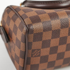 Louis Vuitton Speedy 20 Damier Ebene Canvas 2024 Microchip