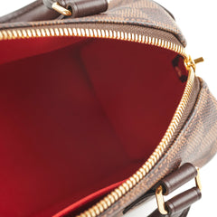 Louis Vuitton Speedy 20 Damier Ebene Canvas 2024 Microchip