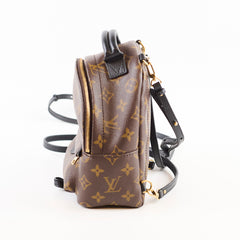 Louis Vuitton Palm Spring Mini Monogram
