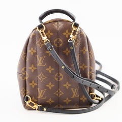 Louis Vuitton Palm Spring Mini Monogram
