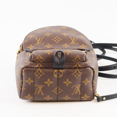 Louis Vuitton Palm Spring Mini Monogram