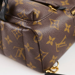 Louis Vuitton Palm Spring Mini Monogram