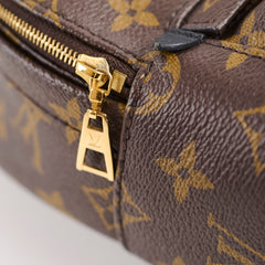 Louis Vuitton Palm Spring Mini Monogram