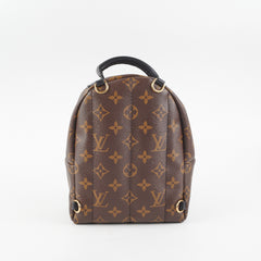 Louis Vuitton Palm Springs Mini Monogram