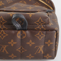 Louis Vuitton Palm Springs Mini Monogram