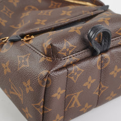 Louis Vuitton Palm Springs Mini Monogram
