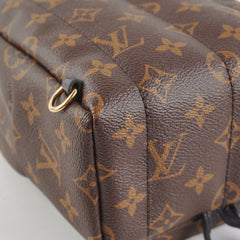 Louis Vuitton Palm Springs Mini Monogram