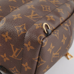 Louis Vuitton Palm Springs Mini Monogram