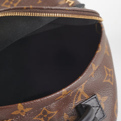 Louis Vuitton Palm Springs Mini Monogram