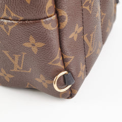 Louis Vuitton Mini Palm Springs Monogram