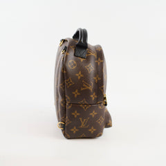 Louis Vuitton Mini Palm Springs Backpack Monogram
