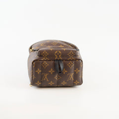 Louis Vuitton Mini Palm Springs Backpack Monogram