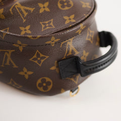 Louis Vuitton Mini Palm Springs Backpack Monogram