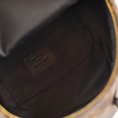 Louis Vuitton Mini Palm Springs Backpack Monogram