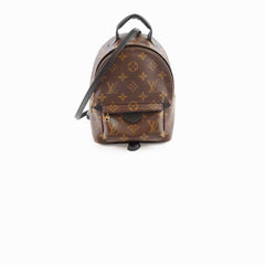 Louis Vuitton Palm Spring Backpack Mini Monogram