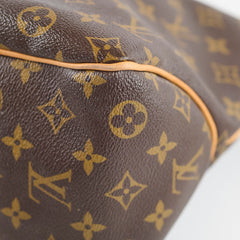 Louis Vuitton Delightful MM Monogram